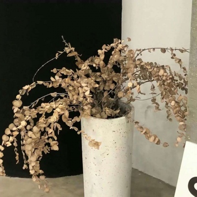 原创Furry角色设计思路Furry群